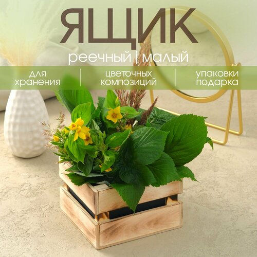 ���� ���� ������� / ����� ��� ������ / ������� ��� �������� � �������, ������ �� 199 ���