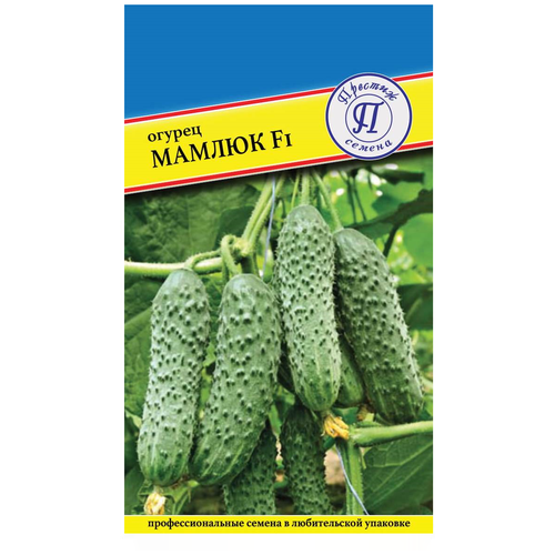 ���� ������/������� ������/ ������ ������� ������ F1, ������ �� 97 ���