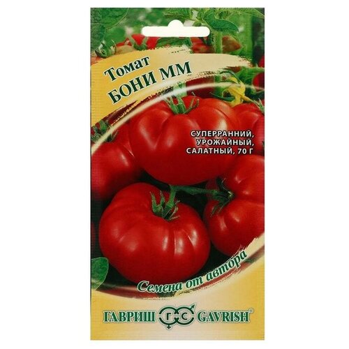 ���� ������ ����� 