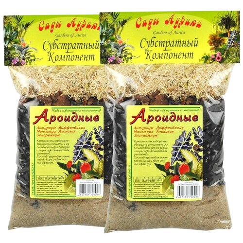 ���� �������� 