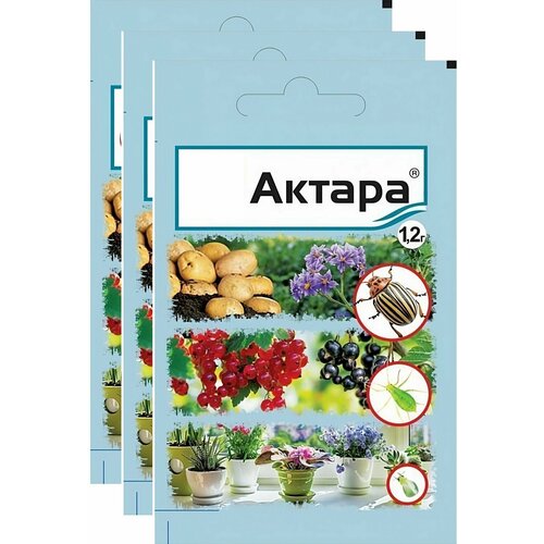 ���� �������� �� ������� ���������� 