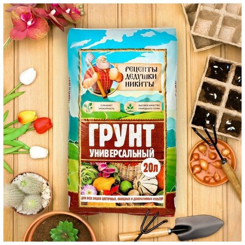 ���� ����� ������������� 