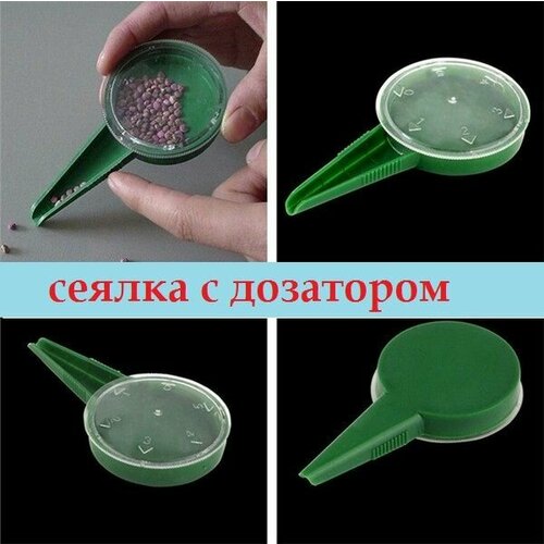 ���� ������ ��� ����� ������ � ���������, ������ �� 272 ���