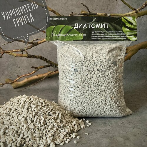 ���� �������� ���������� �����, ������������ ������ 2 �. Terracotta Plants, �� ���������� � ��� �������� ��������., ������ �� 389 ���