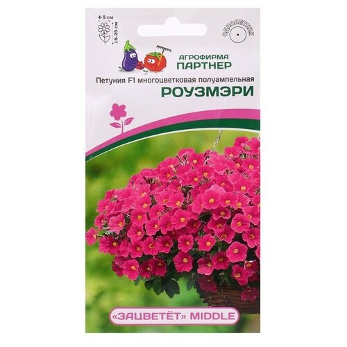 ���� ������ ������� �������������� ������������� 