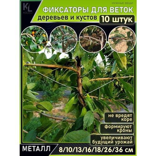 ���� KoLeli / ����� / ������������� ��������� ��� ����� / �������� ��� ��������, 10 ����, ������ �� 1200 ���