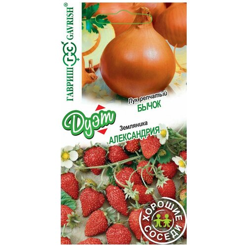 ���� ������ ��� �������� �����+��������� �����������, ����� ���� ������� ������, 0,5 ����������, ������ �� 51 ���