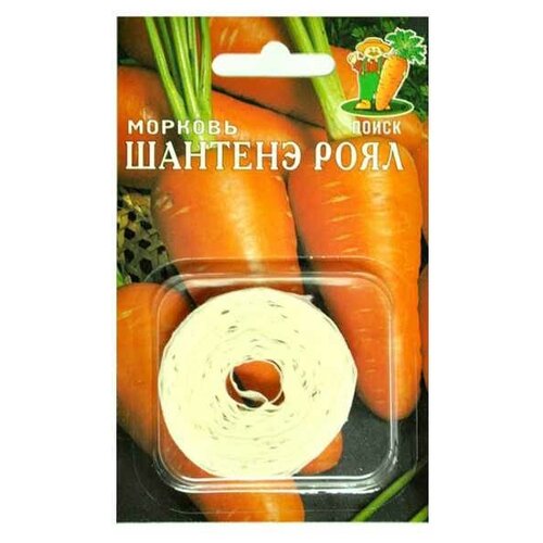 ���� ������ ����� ������� ������� ���� ����� 8 �, ������ �� 45 ���