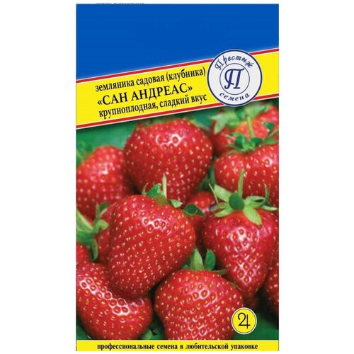 ���� ������/������� ������/ ��������� ��� ������� �������������/�������!, ������ �� 65 ���