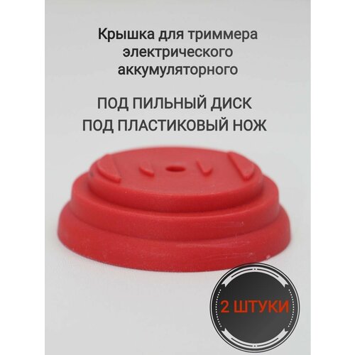 ���� ������ ������� �������� ����������� ��� ���� � �����, ������ �� 929 ���