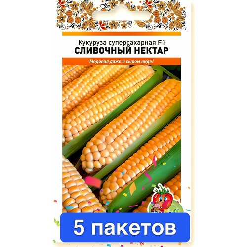 ���� ������ ������ ������� ������ 