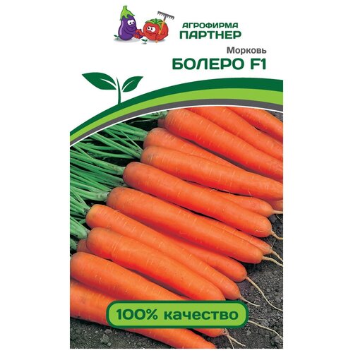 ���� ������ �������. ������� 