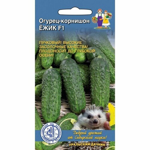 ���� ������ ������ �������� 