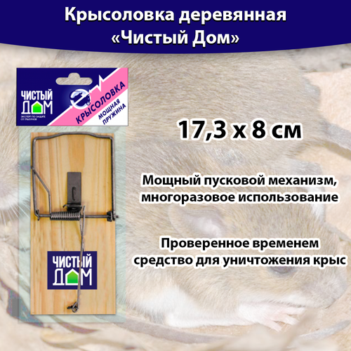 ���� ���������� ���������� 17,3 � 8 ��, ������ ���, ������ �� 200 ���