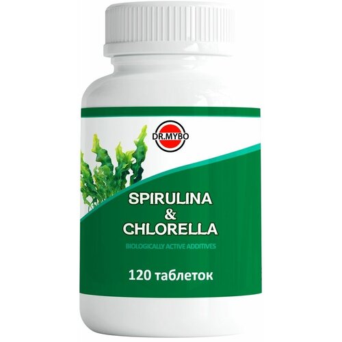 ���� ��������� + �������� 