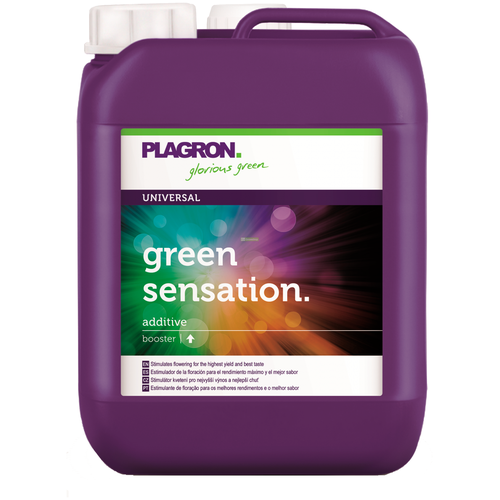 ���� ���������� PLAGRON Green Sensation 5 �, ������ �� 52900 ���