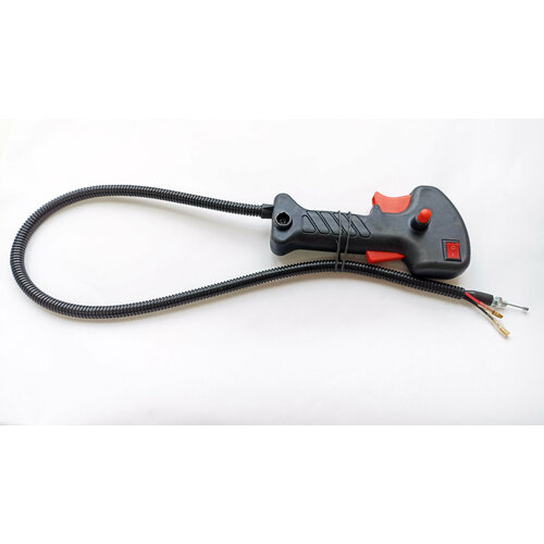 ���� ����� ���� ��������� � ����� (������), ������ �� 440 ���