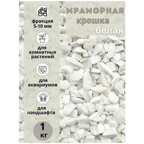 ���� ��������� ������ ����� ������� 5-10�� (1 ��) ����� ����������� ��� ��������� � ������� ��������, ������ �� 600 ���