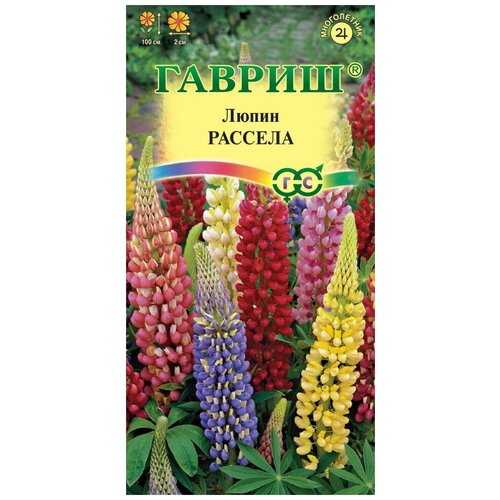 ���� ������ ����� �������, ����� 0,5 ��, ������ �� 43 ���