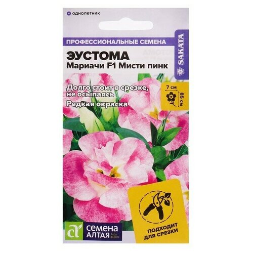 ���� ������ ������ ������� 