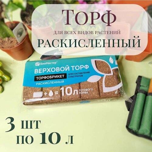 ���� ����������� / �������� ���� ������������ ���������, 30 � (3�� �� 10�), ������ �� 1059 ���