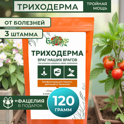 ���� ���������� 3 ������ , 120�, ������ �� 289 ���