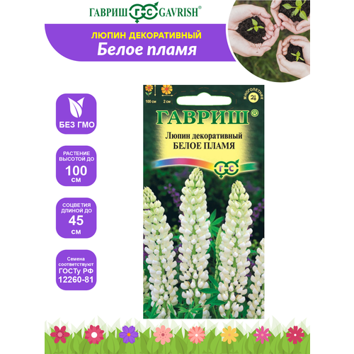 ���� ����� ������������ ����� ����� ������, ������ �� 262 ���