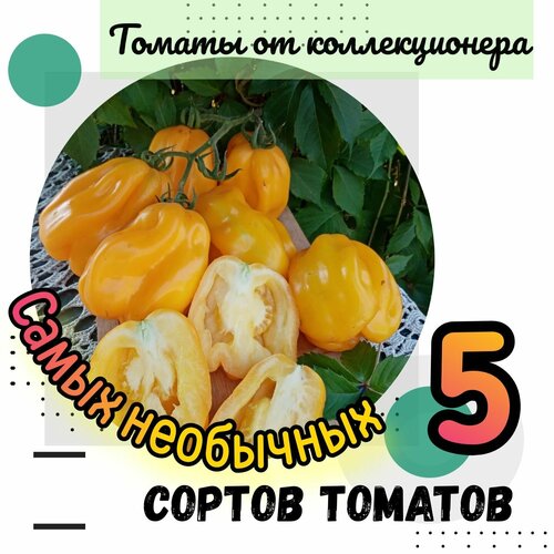 ���� ������ �������, 5 ������ ����� ��������� �������, 50 �����, ������ �� �������������, ������ �� 479 ���