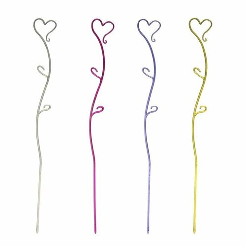 ���� ����� ��� ������� 