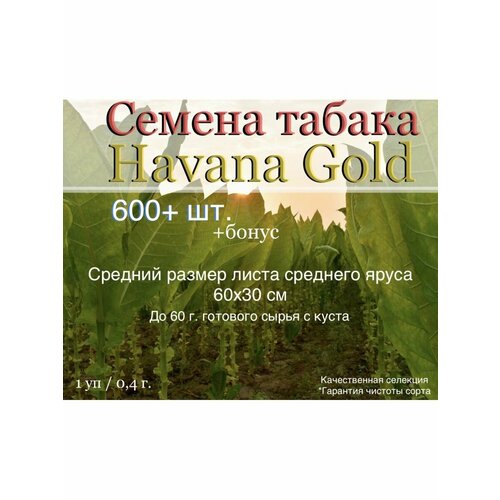    Havana Gold   -     , -, 