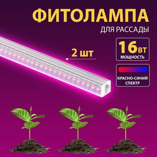      FITO-16W-5-N  (2 ),   2105 