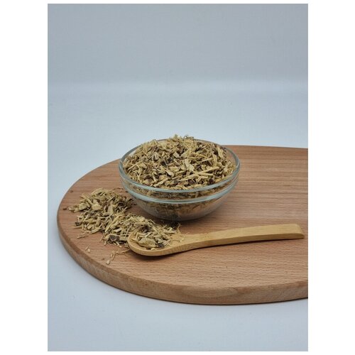 ���� ������� ������ 1��, ������ �� 800 ���