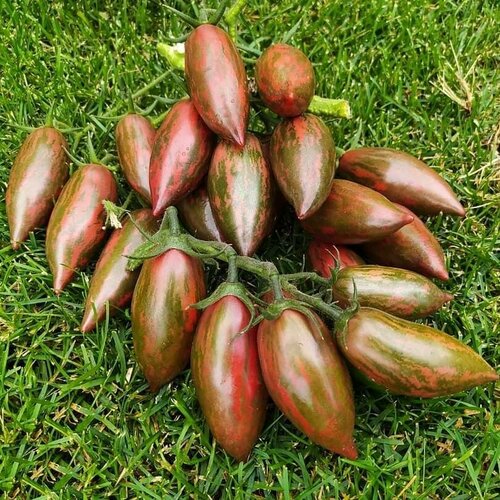 ���� ���������� ������� ������ �������, ������ �� 350 ���