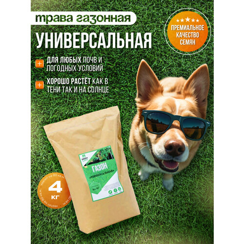 ���� �������� �����, ������, ������������� ����������, 4 ��, ������ �� 2273 ���