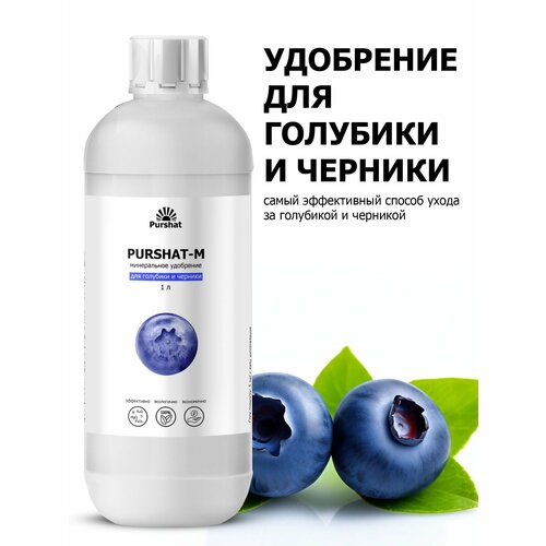 ���� ��������� ��� �������� � ������� ������ (Purshat) 1 �, ������ �� 598 ���