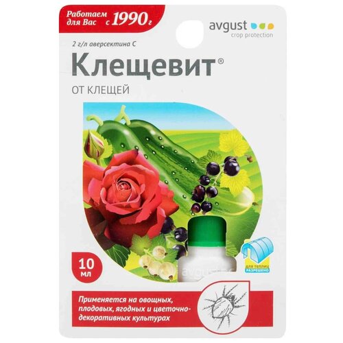  Avgust    , 10 , 10    -     , -, 