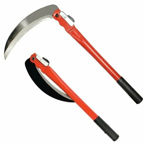 ���� ���� ��� ����� �������� / ���� ��������, ������ �� 340 ���