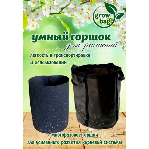 ���� ����� ������ (�������) 1 � / �����������, ������ ��� ����������� �������� / �������, ������ �� 49 ���