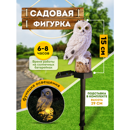 ���� ������� ������� ��� ���� � ����. ���������� �� ��������� ������� ����, ������ �� 800 ���