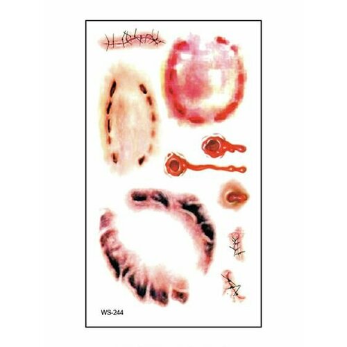 ���� ���������� ��������� ���� ����� � ���� �� �������� / 10 � 6 �� ����, ������ �� 560 ���