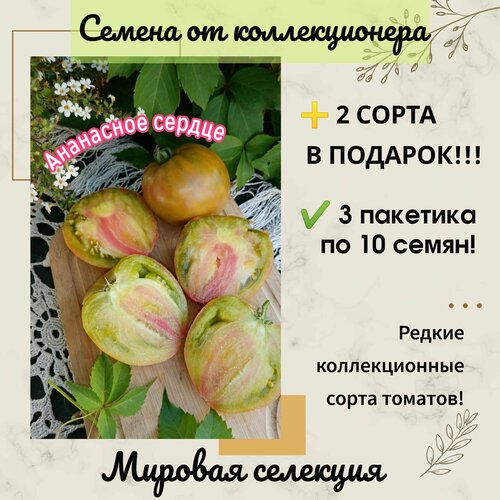 ���� ����� ��������� ������, ������� ��������, ������������� ����, ������ �� 273 ���