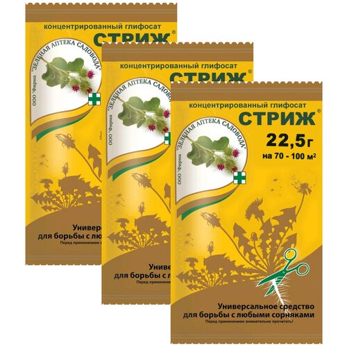 ���� �����. �������� �� �������� ������� ������ �������� 