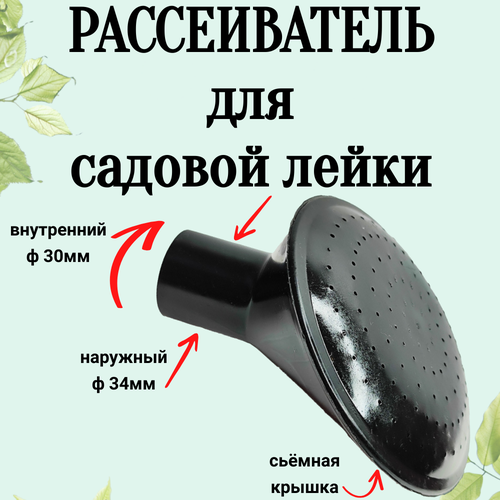    , 10/12, , ,  30,  ,   225 