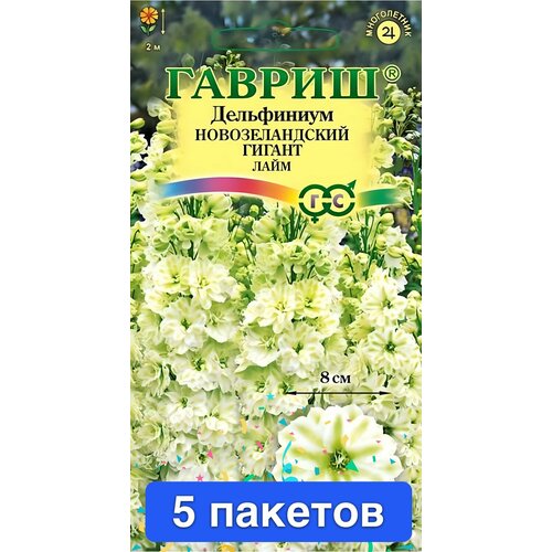 ���� ����� ���������� ������������� �������������� 5 �������, ������ �� 2825 ���