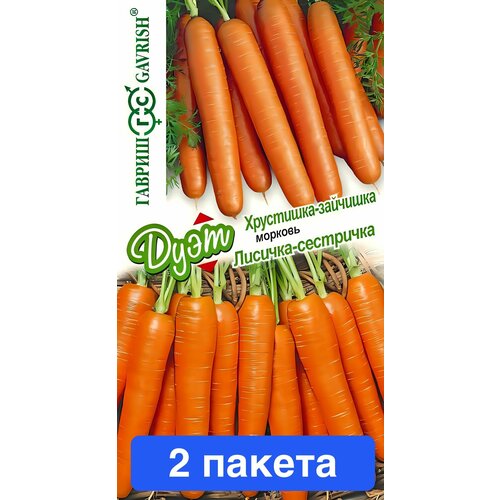 ���� ������ ������ ������ 