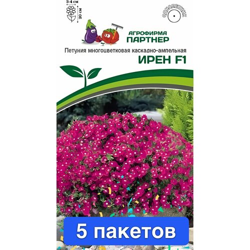 ���� ����� ������� ������ ���� F1 5 �������, ������ �� 1659 ���