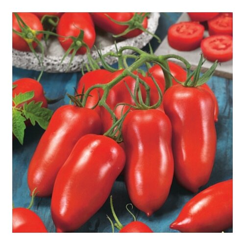 ���� ������ ���� ������ ����� ������ 3 ��, ������ �� 184 ���