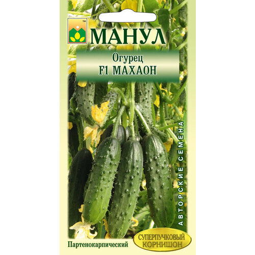 ���� ������ ����� 