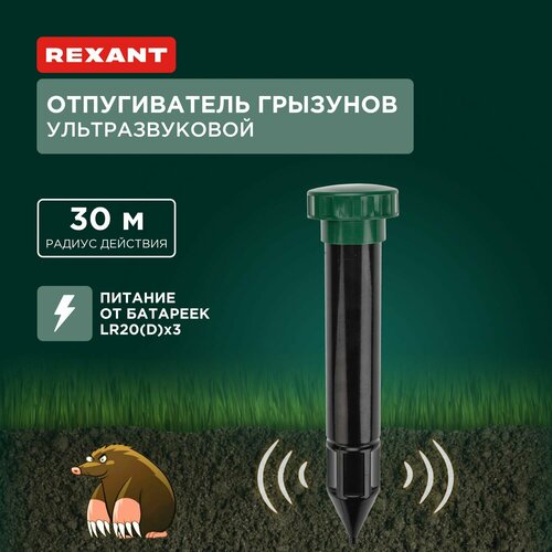     R30 REXANT   -     , -, 