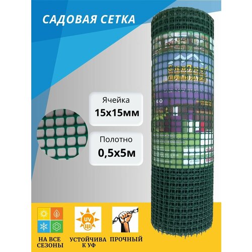 ���� ����� ����������� ������ 15*15 �� ������ ������ 50 �� ����� 5 �, ������ �� 700 ���